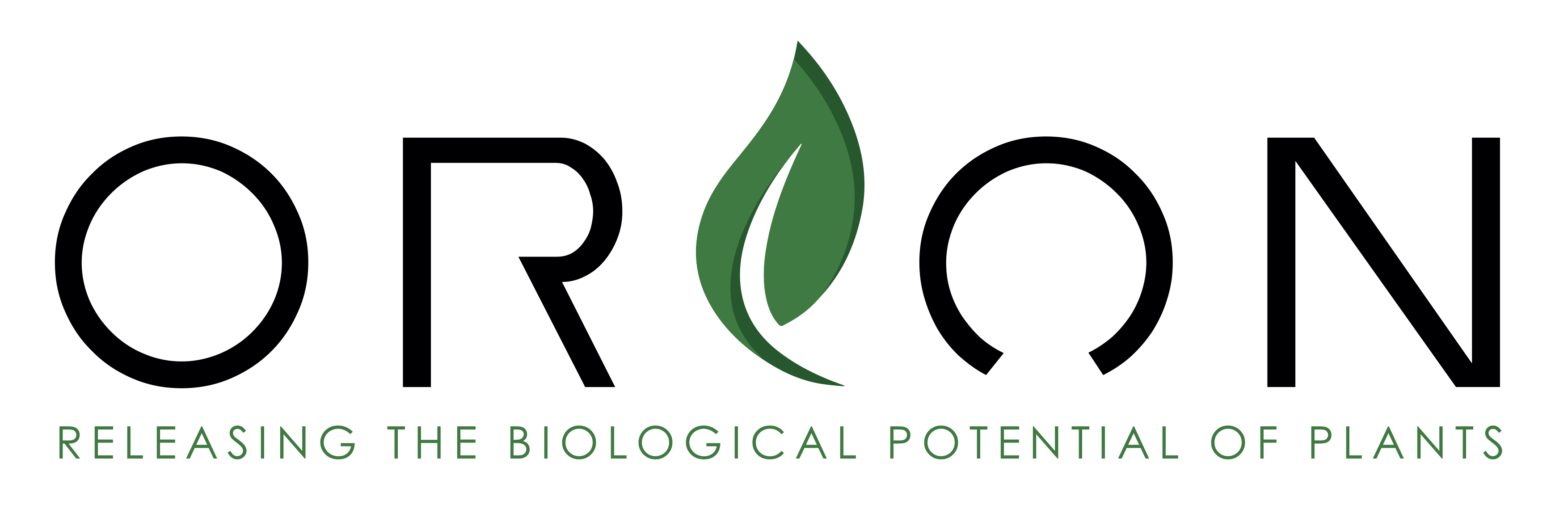 Orion Future Technology Limited