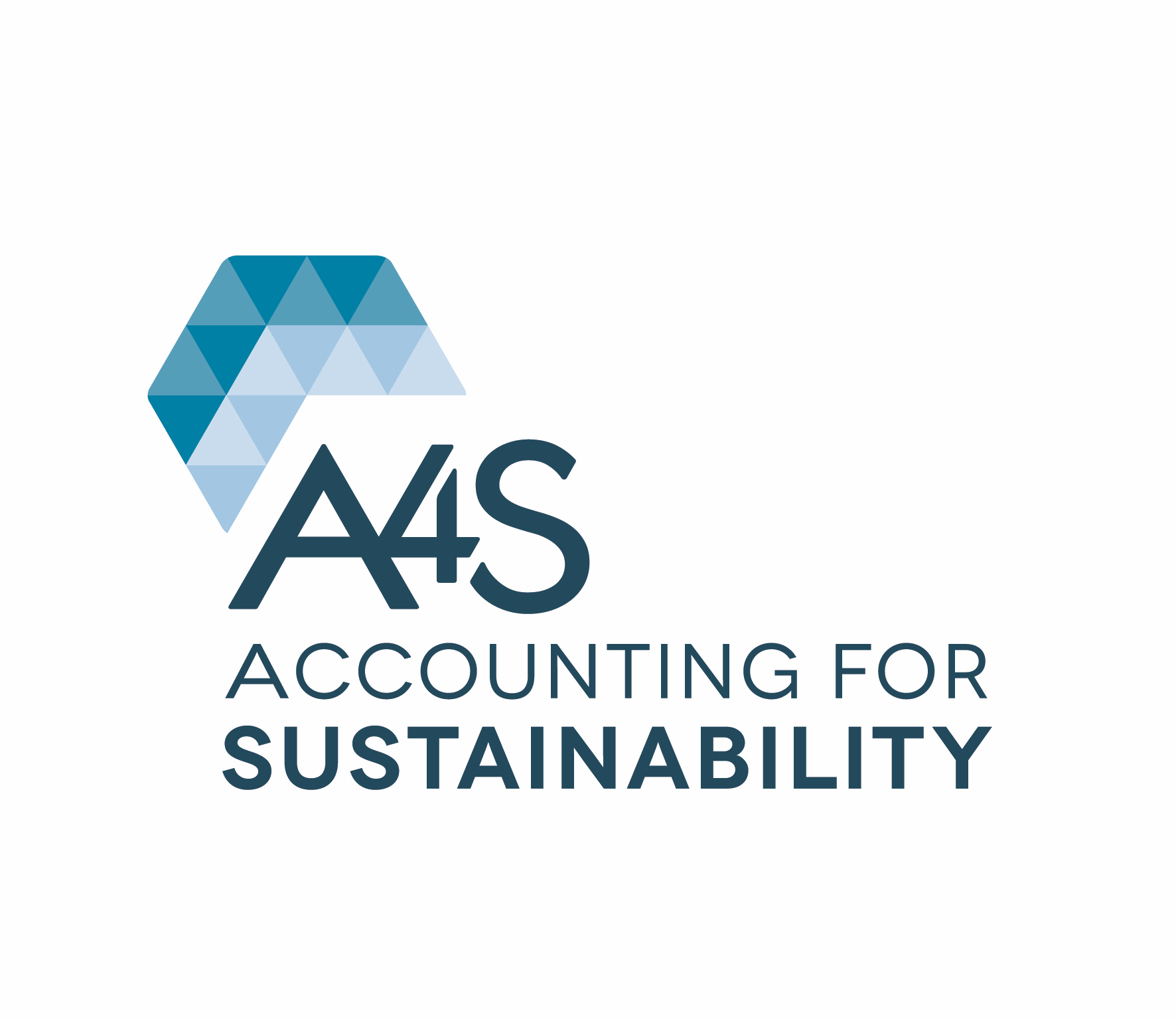 Accounting for Sustainability