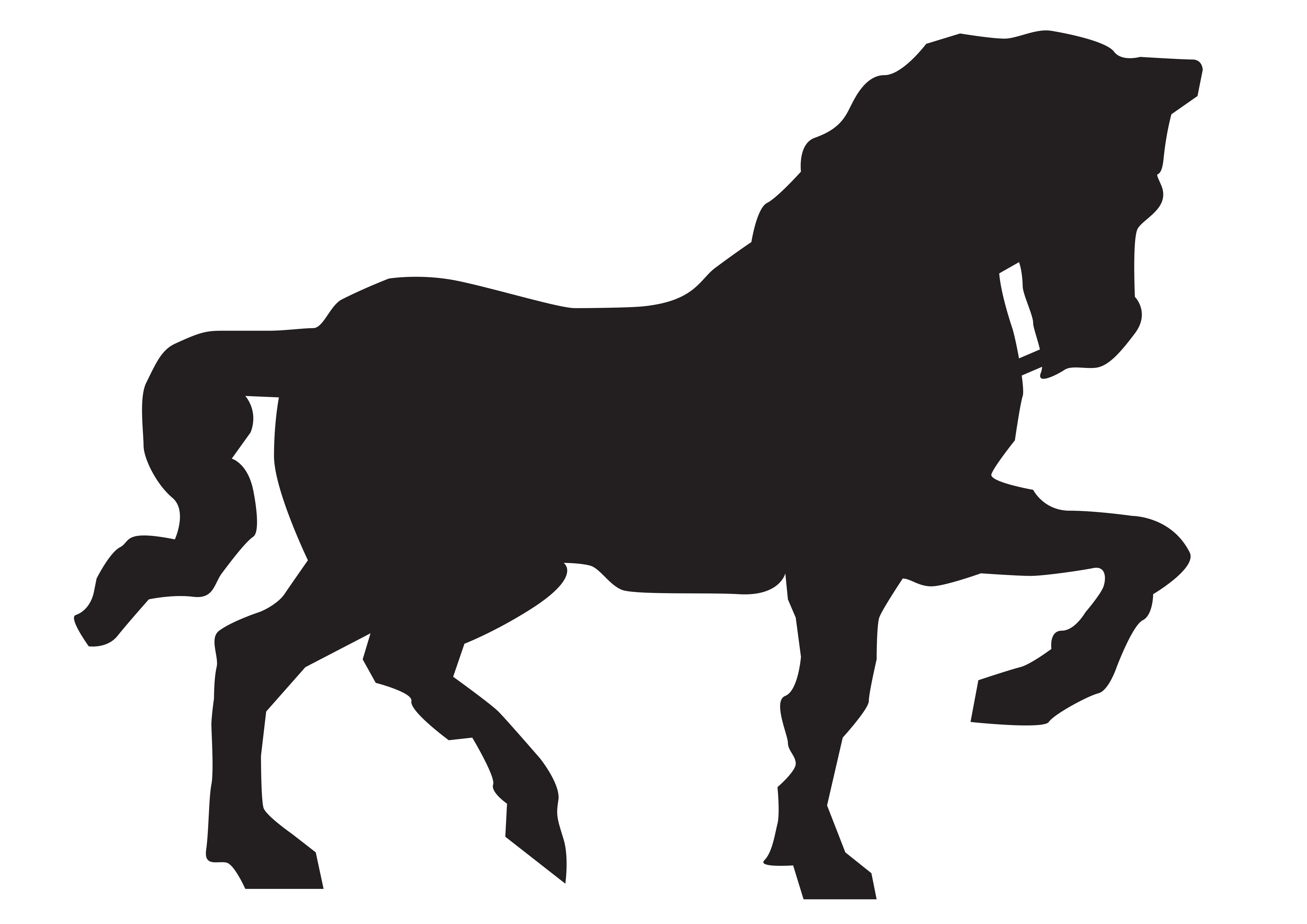 Wanstead Community Riding Stables CIC