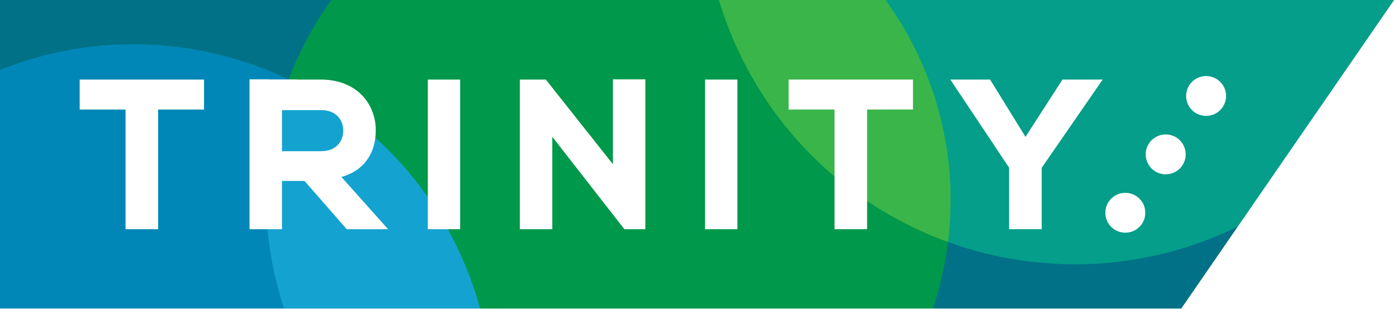 Trinity Community Arts Ltd