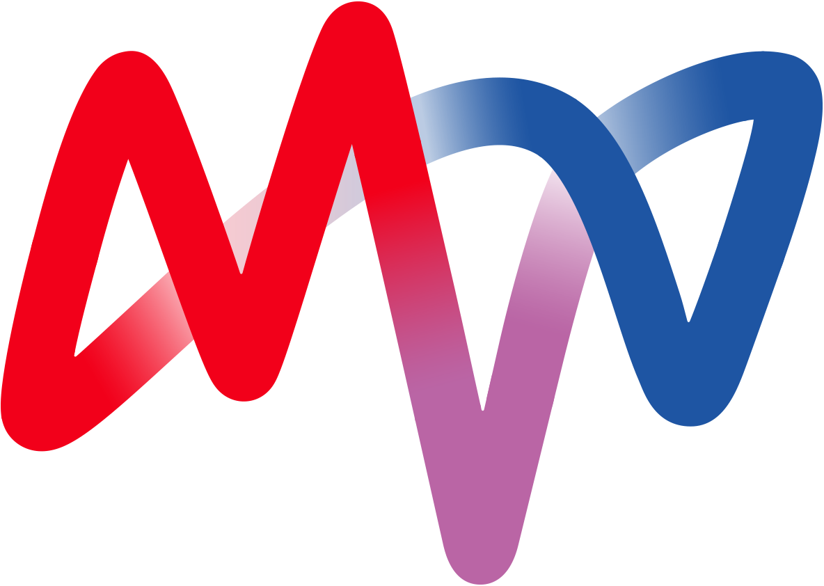 MVV Environment Ltd