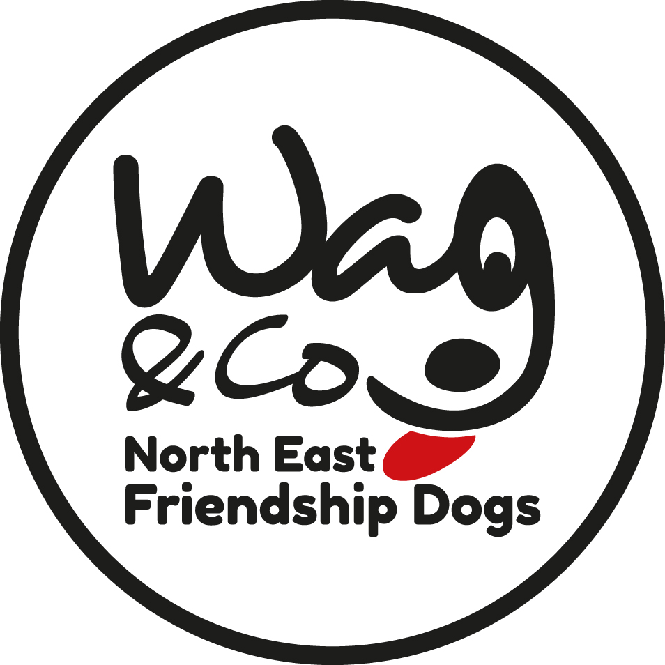 Wag and Company North East Friendship Dogs