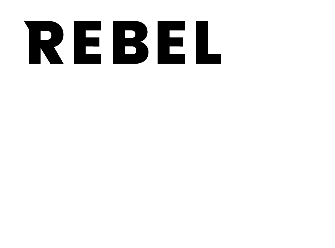 The Rebel Business School