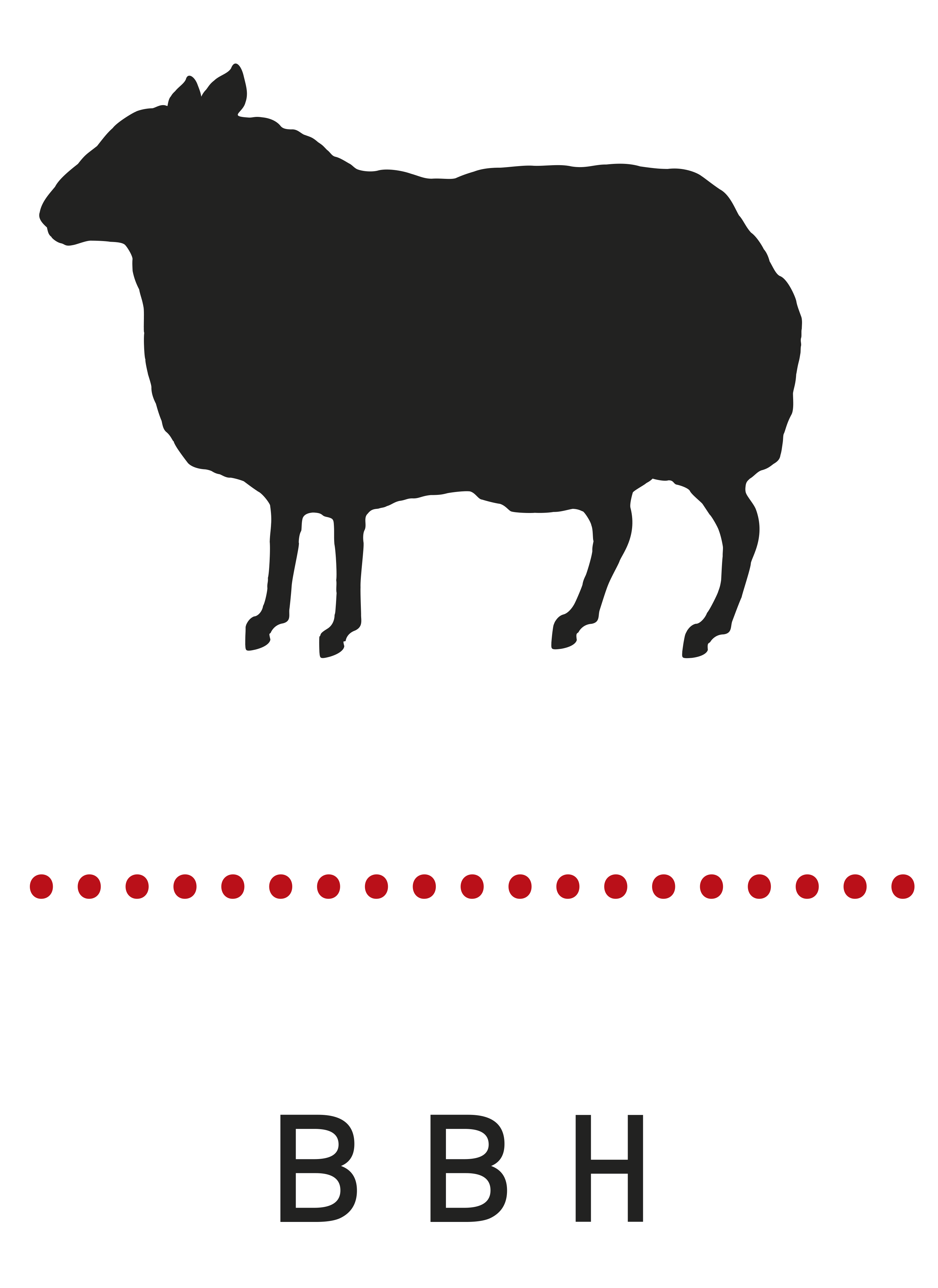 BBH Partners LLP