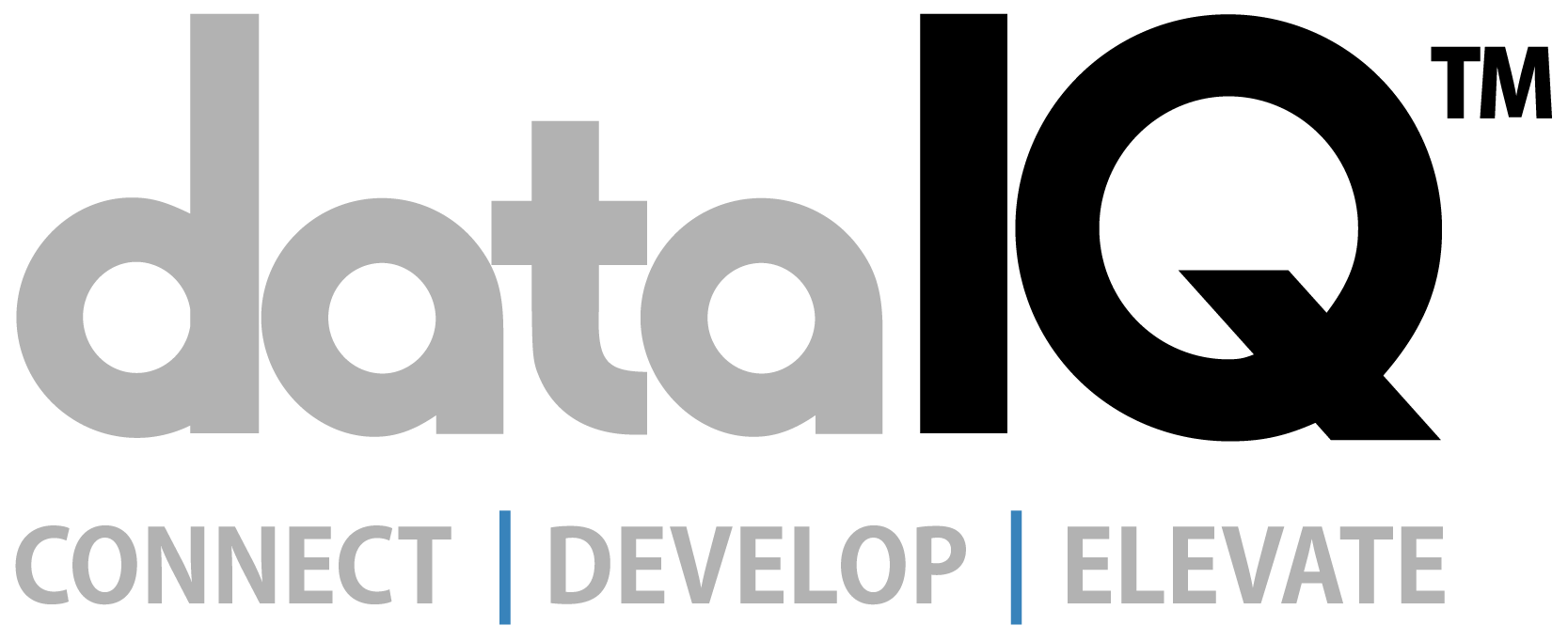 DataIQ