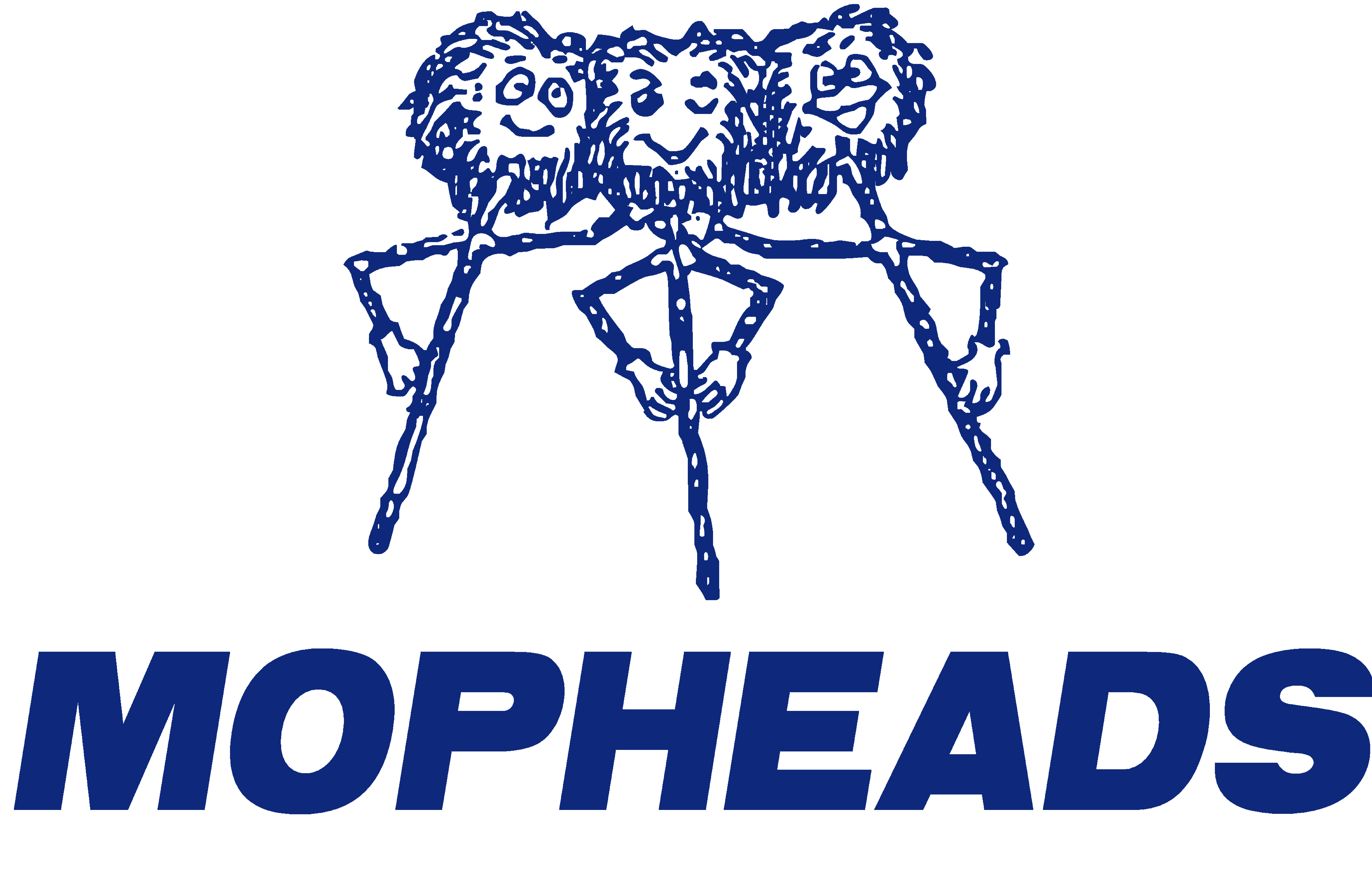 Mopheads Group Ltd