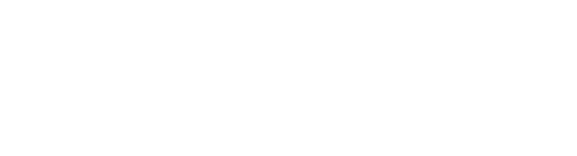 DG Arts Festival