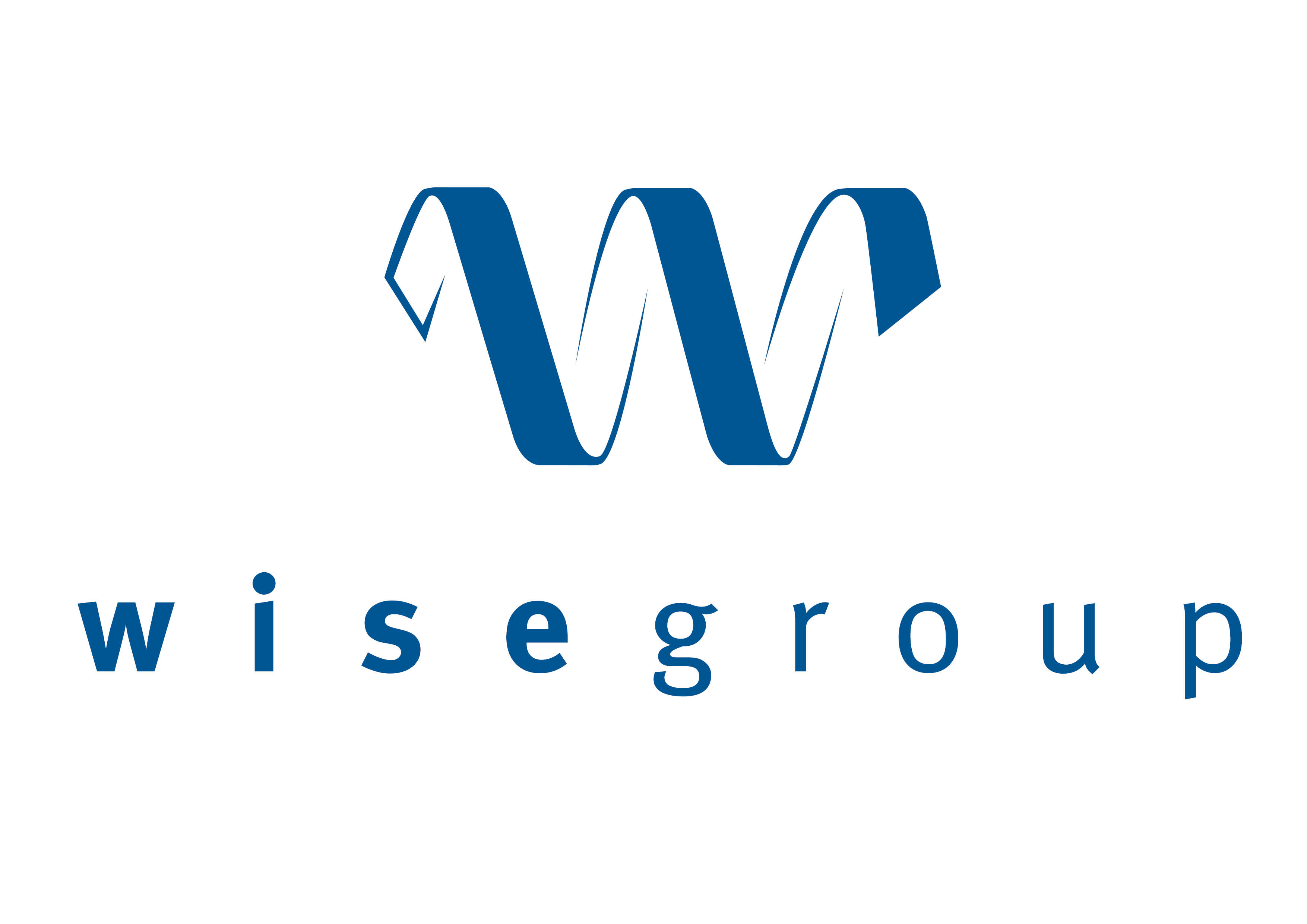 The Wise Group