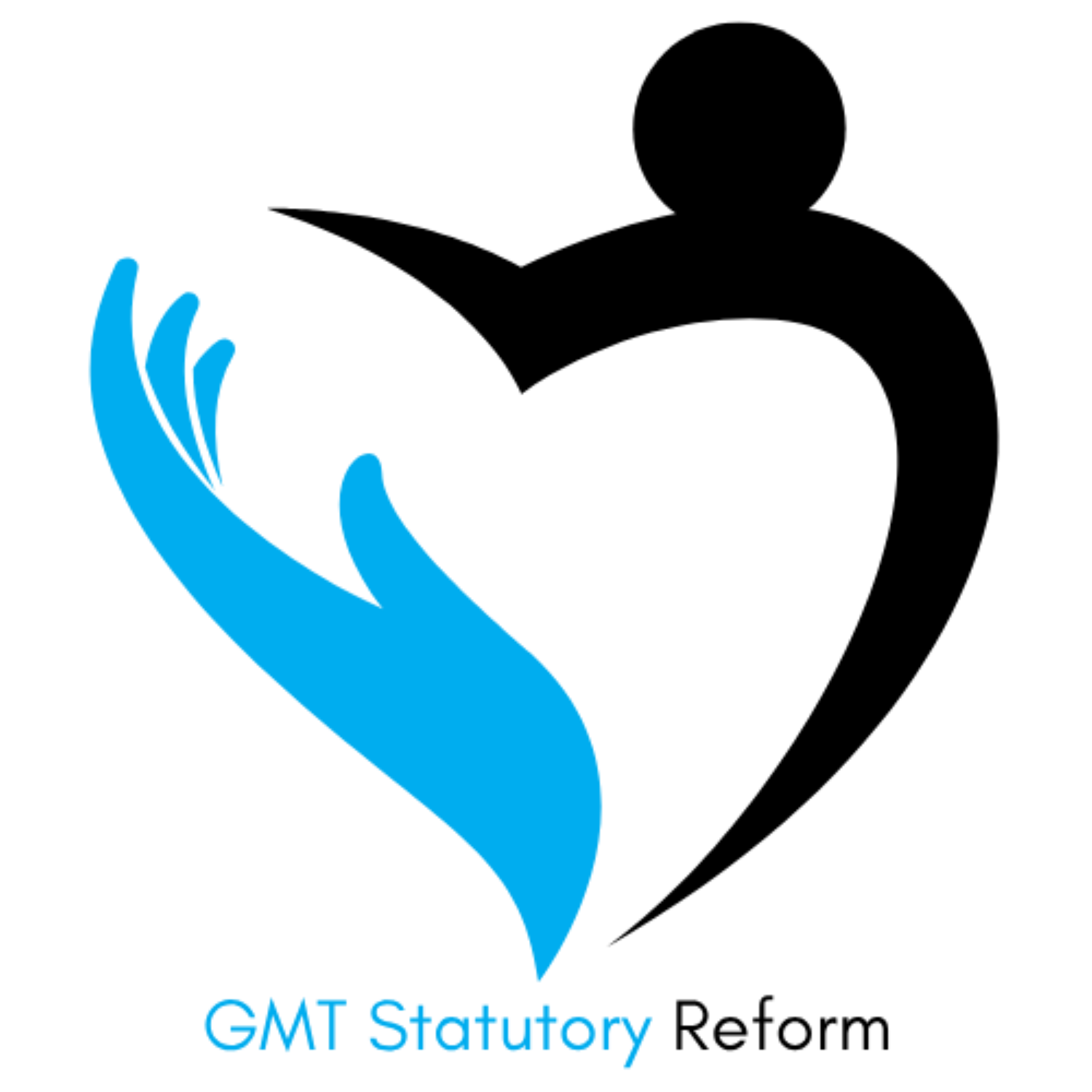 GMT Statutory Reform Programme Limited