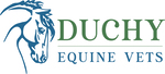 Duchy Equine Vets